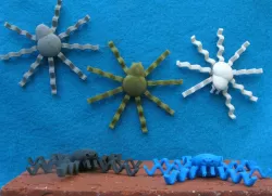 Spider "Doodle"