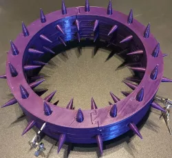 Spike Collar