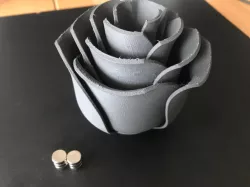 Super Rose with magnetic stem