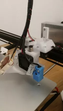 X carriage with microswitch