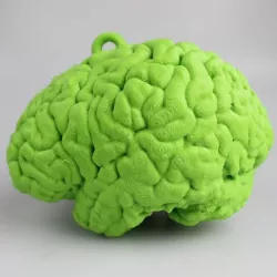 Bird Brain Bird House