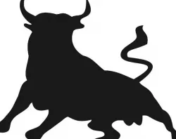 Bull / Taureau