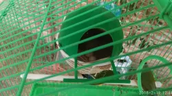Cubre Nido - Nest Cover