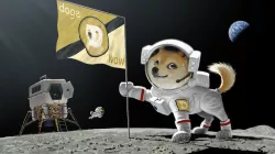 Dogecoin Moon Lithophane
