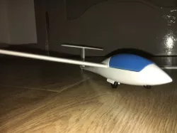 Duo Discus (Glider)