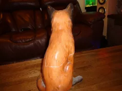 Fox Model
