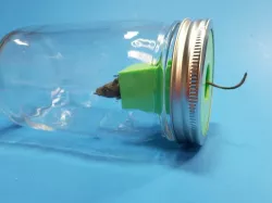 Live Catch Mouse Trap