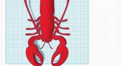 Lobster