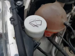 Peugeot 308 windshield washer fluid tank cap (maybe other models/makes also)