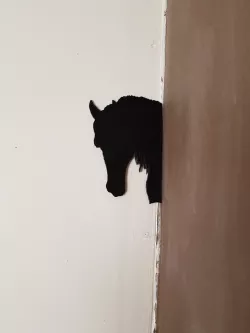shadow of a horse and a dog
