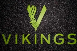 Vikings Logo
