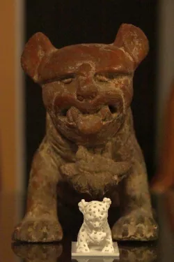 Vorocatl