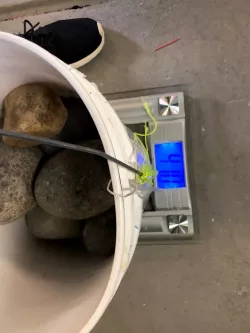 5.5 3D printed bridge