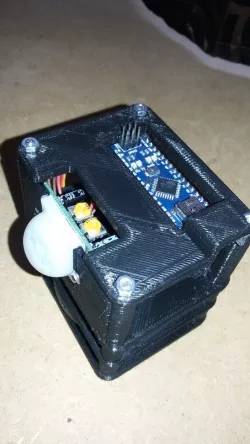 arduino catches car thief