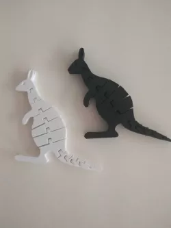 Articulated Kangaroo Model