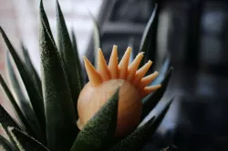 BlocksCAD Spiky Hair Lesson