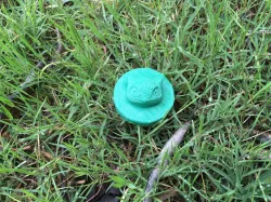 Bulbasaur badge