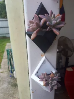 Diamond Herb/Succulent Planter Fridge Magnet