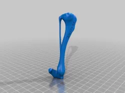 Dog tibia
