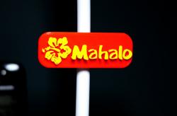 Mahalo Fridge Magnet