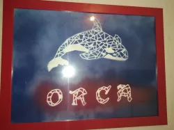 Origami/pochoir Orque- origami/stencil Orca/killer whale