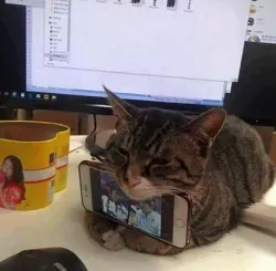 Phone Holder