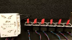 Pump Perfusion System