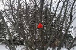 Round Birdhouse with Perch