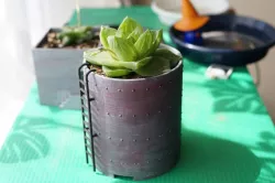 Ruins Planter 3