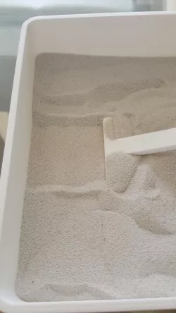 sandbox