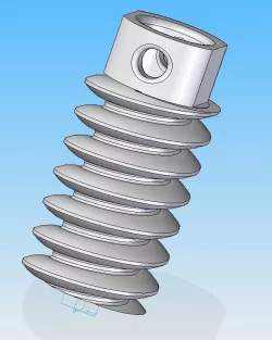 Screw Gear