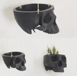 Skull Bowl Remix into Skull Hanging Planter / Pot