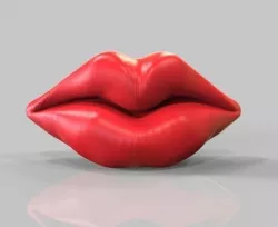  A lips 3D model