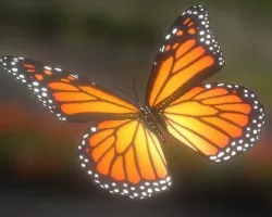 Animated Butterfly Low-poly  3D model