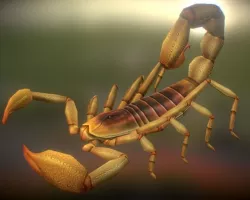 Animated Scorpion Low-poly  3D model