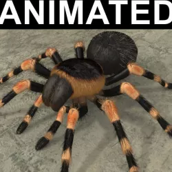 ANIMATED Tarantula 3d model a 3D model