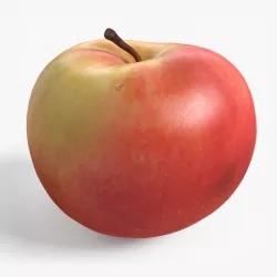 Apple 3D model