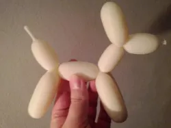 Balloon Dog