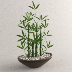 BAMBOO 3D model