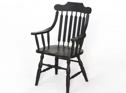 Bent Wood Arm Chair 3D model