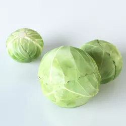 Cabbage 3D model