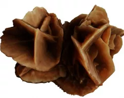 Desert stone rose  3D model