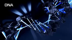 DNA animation 3d model 3D model