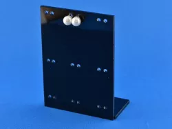 Earring Holder