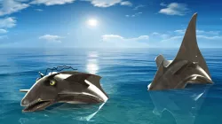 Eelosaurus