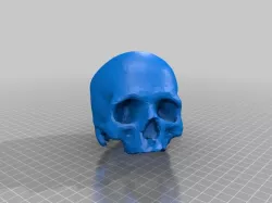 Elvis recleaned Skull