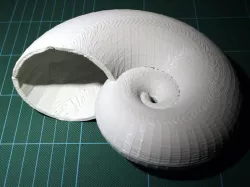 Full Nautilus Shell (project shellter)