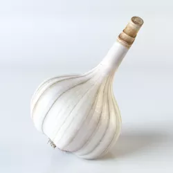 Garlic 3D model