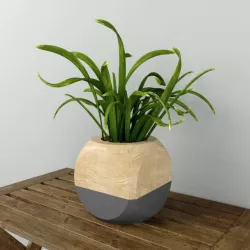 GEOMETRIC PLANT CUBE 3D model