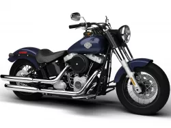 Harley-Davidson FLS Softail Slim 2015 3D model